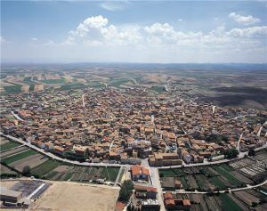 aerea-cella